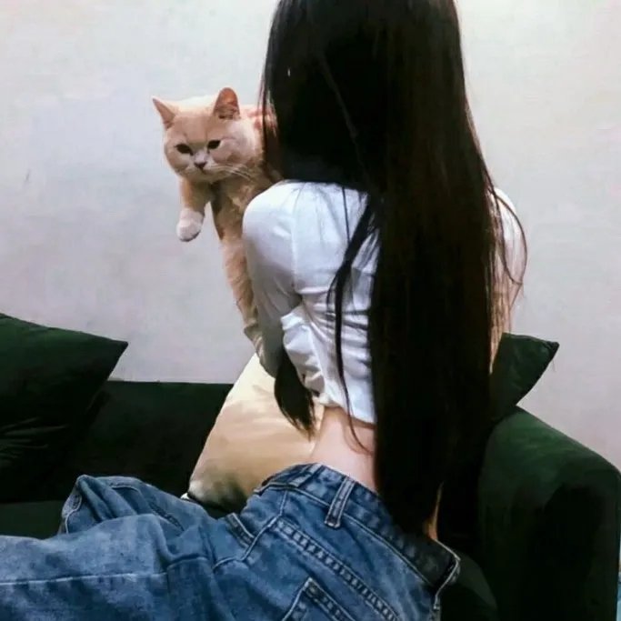 你家就是我家